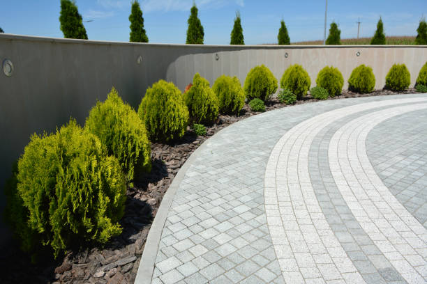 Reasons to Select Us for Your Driveway Paving Requirements in Litchfield Park, AZ